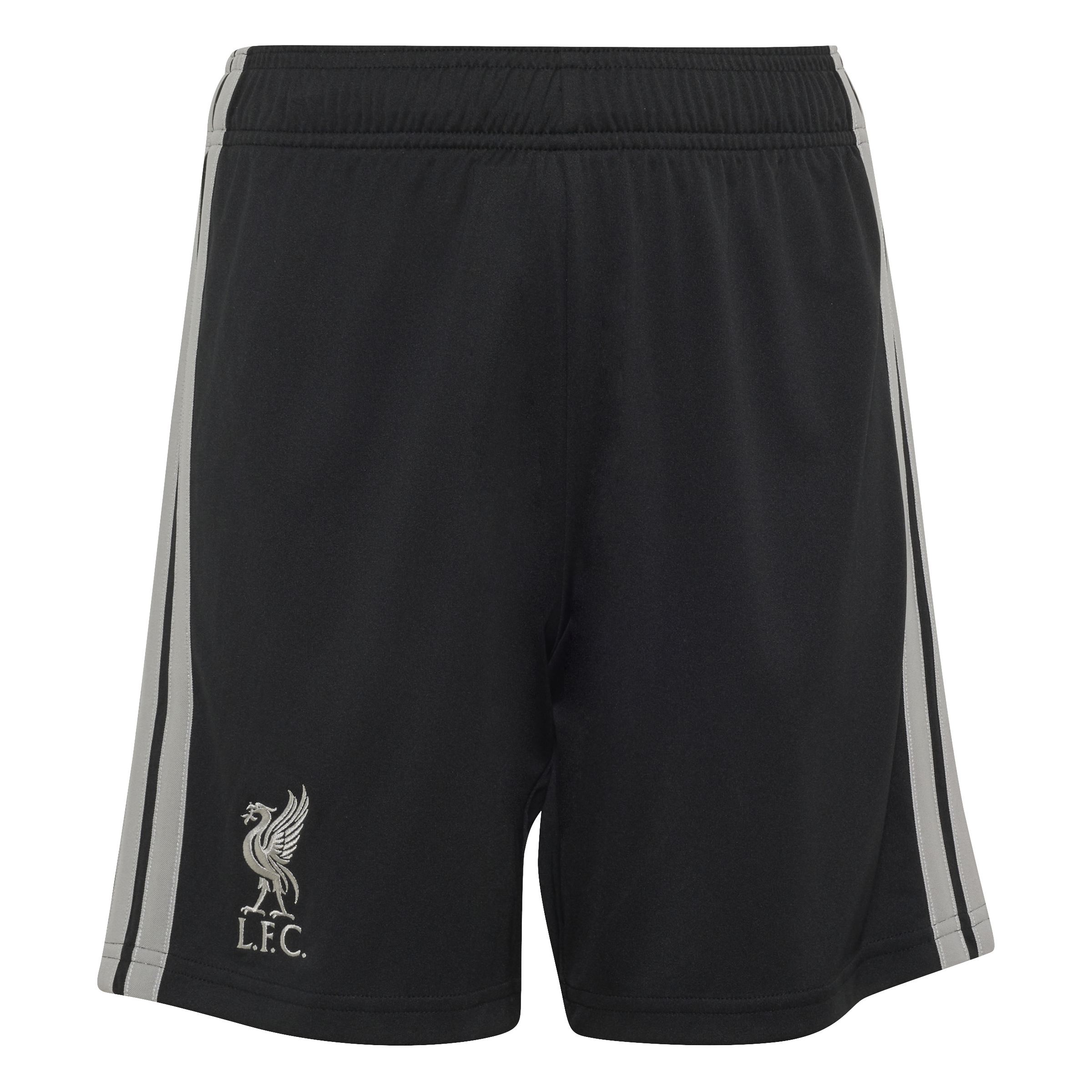 LFC 3 SHO Y