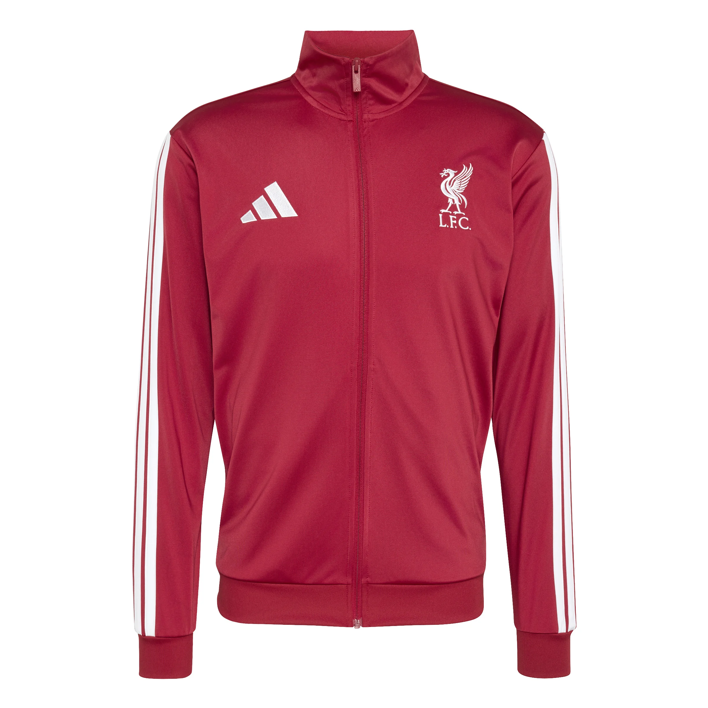 LFC DNA TT
