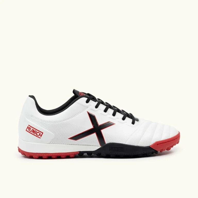 ARENGA TURF 11